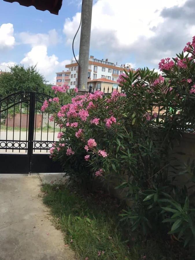 İğneada Yakamoz Pansiyon